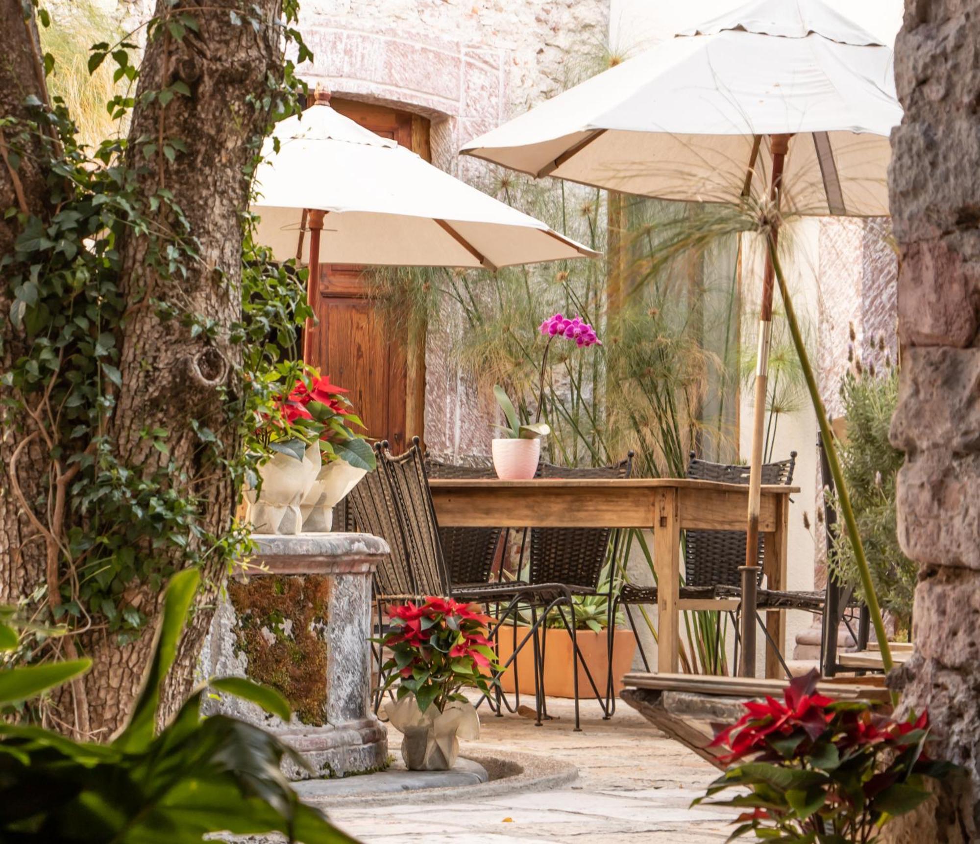 Orchid House ซานมิเกล เด อาเญนเด ภายนอก รูปภาพ